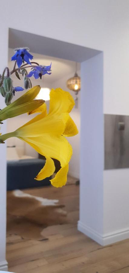 Old Town Apartment Posen