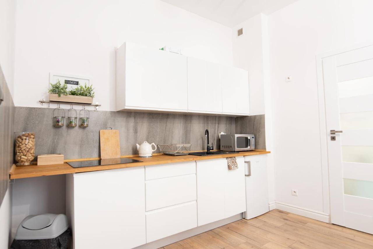 Old Town Apartment Posen